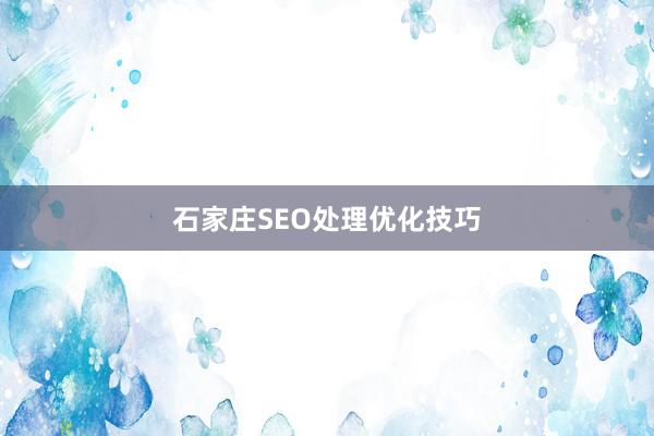 石家庄SEO处理优化技巧