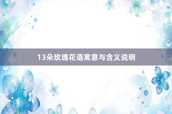 13朵玫瑰花语寓意与含义说明