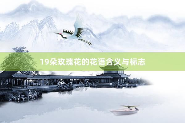 19朵玫瑰花的花语含义与标志